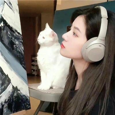 我的小公司